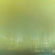 Illustration for article titled Panoramical Is A Trippy Journey Of Light and Sound
